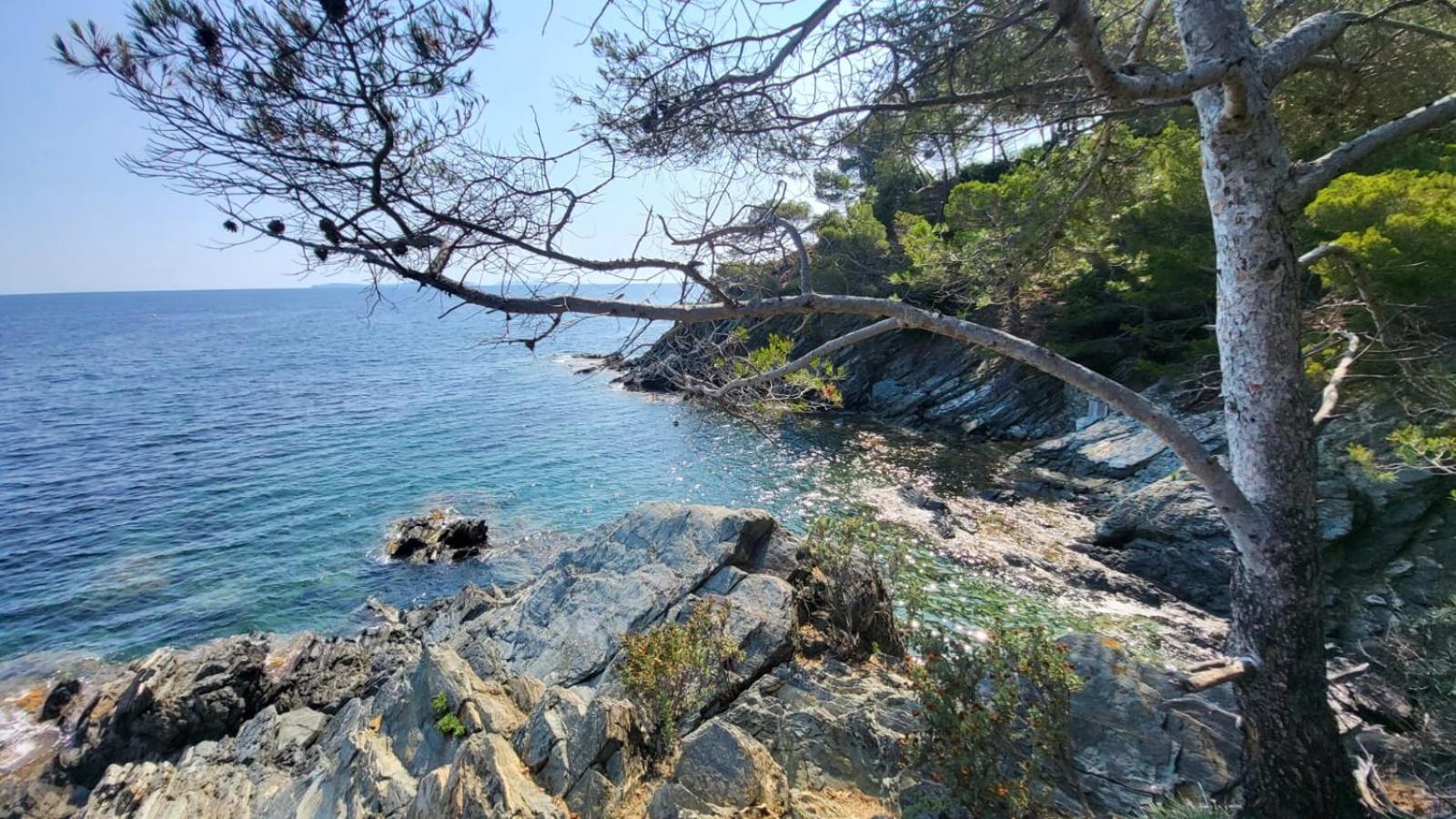 Апартаменты Golfe De Saint Tropez Terrasses De Sylvabelle Gigaro Ла Круа-Вальме Экстерьер фото